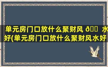 单元房门口放什么聚财风 🐠 水好(单元房门口放什么聚财风水好一点 🦉 )